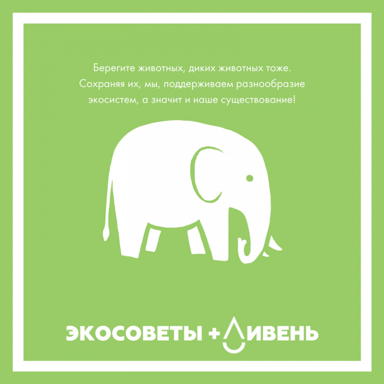 Советы по экологии. Экологические советы. Эко советы. Эко советы на каждый день.