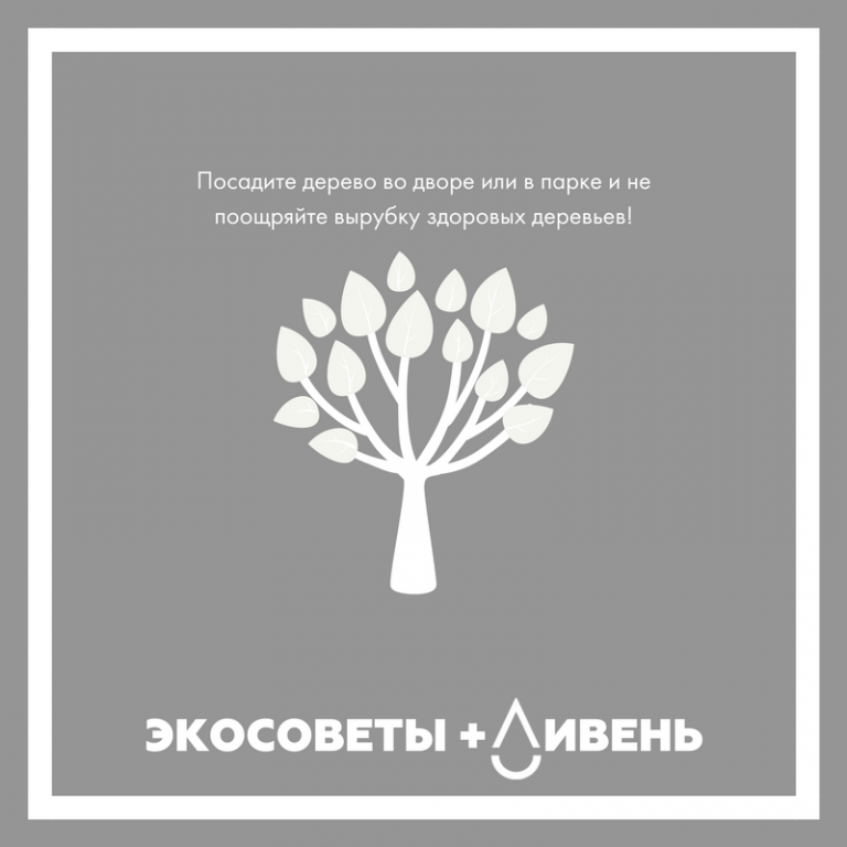 Советы по экологии. Эко советы. Экосоветы на каждый день. Экология советы. Эко советы в картинках.